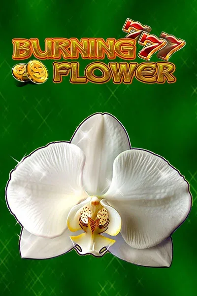 Burning Flower κουλοχέρης — Lazaro Casino GR (LIZARO)